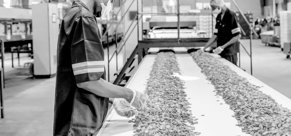 SINGLE-IMAGE_worker-checking-biscuits-on-conveyor_nov23
