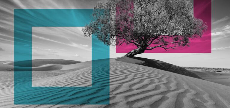 /bynder-asset/bynder:54253227-7BC2-46CF-9628F65CAA9C0F42/Landscape_MD/SINGLE-IMAGE_squares-tree-in-desserted-land_may25.png?1749636575000
