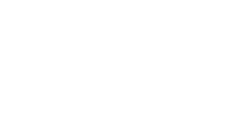 /bynder-asset/bynder:A77E6B32-154E-410B-8F683ECEC39A2C99/Landscape_MD/LOGO_dubai-air-navigation-services-white-500-white.png?1781009188000