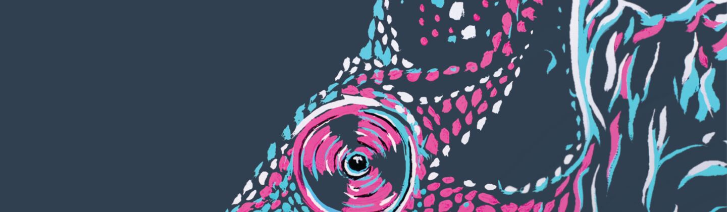 SINGLE-IMAGE_resilience-nation-report-chameleon-press-illustration_oct24