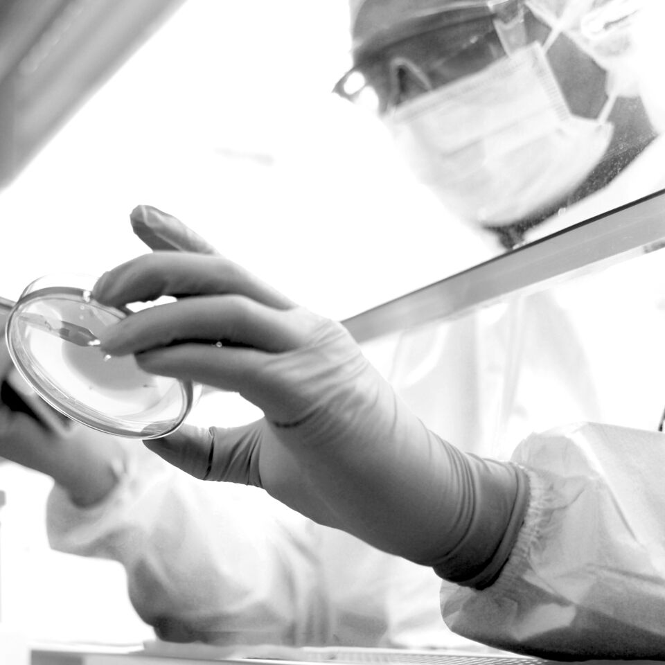 SINGLE-IMAGE_lab-technician-testing-sample_aug24